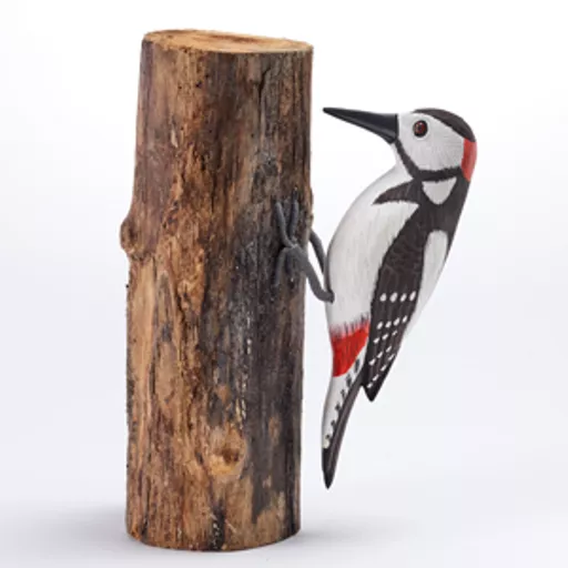 Spotted Woodpecker.jpg