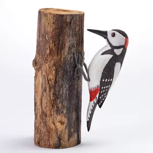 Spotted Woodpecker