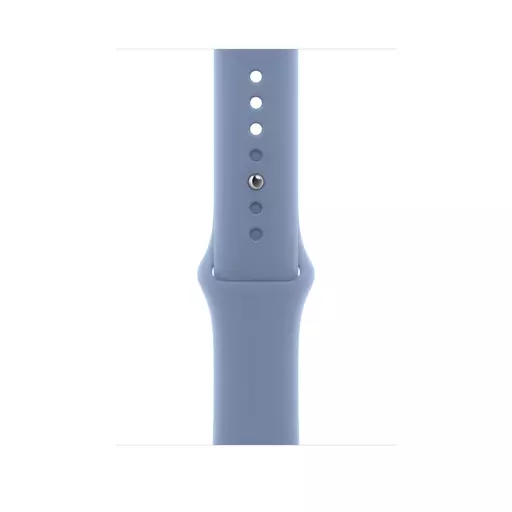 Apple MT413ZM/A Smart Wearable Accessories Band Blue Fluoroelastomer