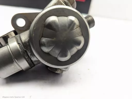 a455ca60-e8e1-46e6-8321-525e60cc43f3.jpeg?