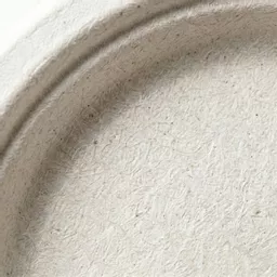 9_ Round Bagasse Plate_0000s_0001_9_ Round Bagasse Plate.jpg