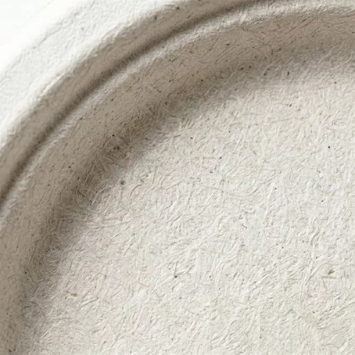 9_ Round Bagasse Plate_0000s_0001_9_ Round Bagasse Plate.jpg