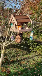 bird table and box kit.jpg