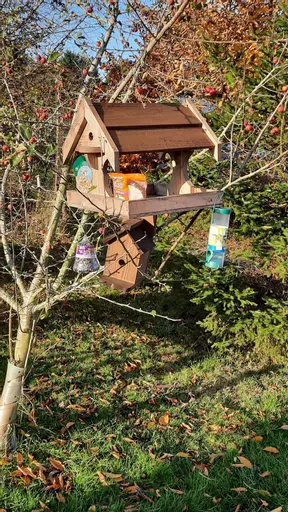 bird table and box kit.jpg