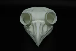 eagle owl 3.jpg
