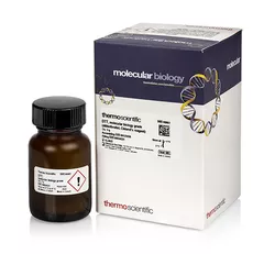 DTT (dithiothreitol), 0.1 M