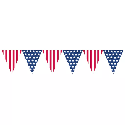 USA Pennant Banner