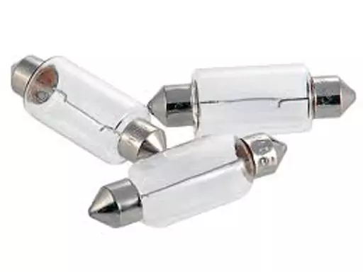 FESTOON BULBS.jpg