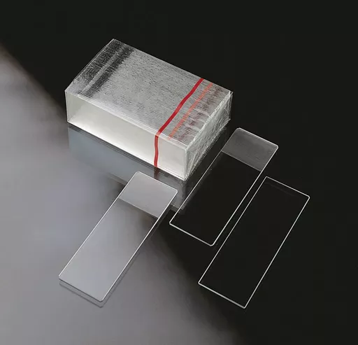 1740048628f6d003c29c7c724bdfd8ea0e0480cfdb.png?