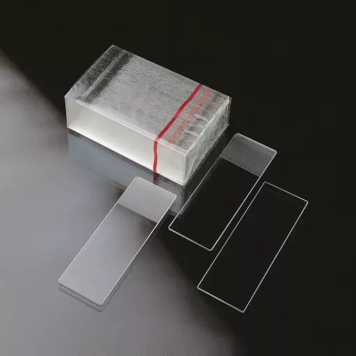 Microscope Slides with Cover Slips 76×26mm Each