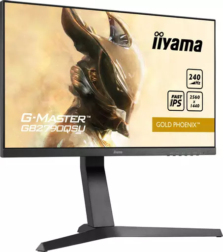 iiyama G-MASTER GB2790QSU-B1 computer monitor 68.6 cm (27") 2560 x 1440 pixels Wide Quad HD LED Black