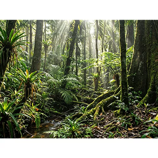 MP8hVQ0PwkmszzGfIVYk7Q.c-r.jpg?