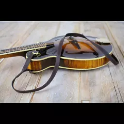 MS37 F mandolin brown 5.jpg