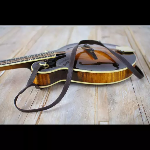 MS37 F mandolin brown 5.jpg