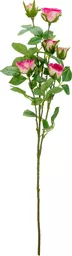 IT393838.jpg