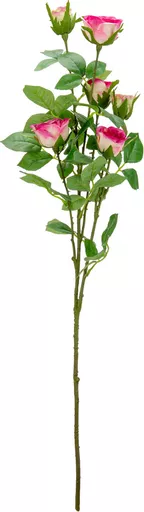 IT393838.jpg
