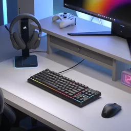 -nV0vBkgbE2sdAJnT4nvLA.c-r.jpg?