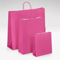 White-kraft-pink-twist-bags-GROUP.jpg