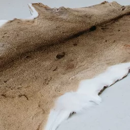 1457445173-97530100.jpg?