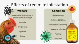 AviForm Mity Stuff Red Mite Solution.jpg