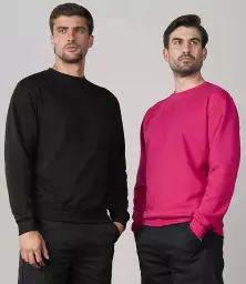 RX301%20FUS%20MODEL%201.jpg?