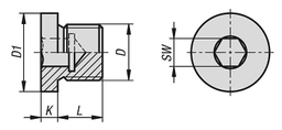 K1130-Screw-Plugs-With-Collar-And-Hexagon-Socket-Drawing_1200x1200.jpg?