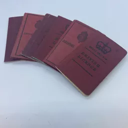 driving license 1.jpg