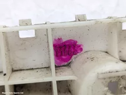 26382318-8e6e-4998-b0fc-4d68211dce41.jpeg?