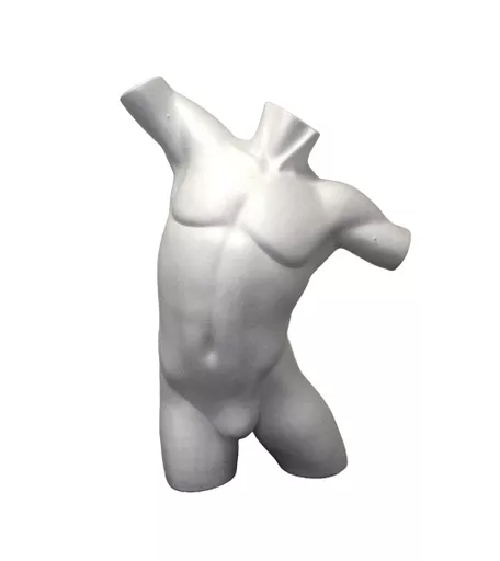 White Body Form Male Poly Torso