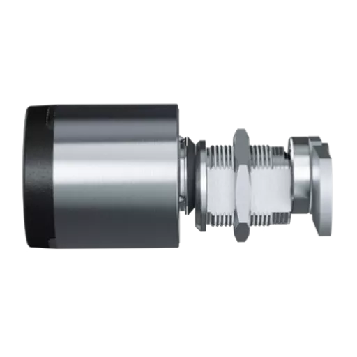 L31675_1.png?