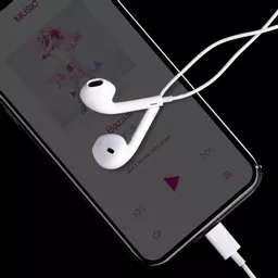 DEV-EARPB-LIGHTMIC-WHT11 (Copy).png