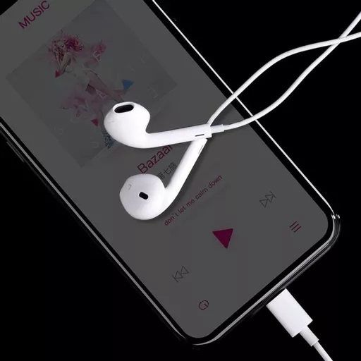 DEV-EARPB-LIGHTMIC-WHT11 (Copy).png