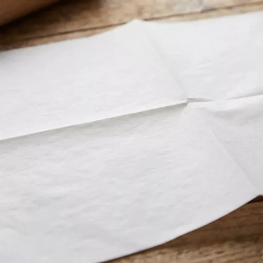 400 x 600mm Siliconised Greaseproof Sheet White_0000s_0000_PAPER000801.jpg