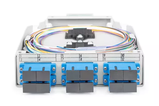 N7EjGv9ZfEemD41jF3VnqA.c-r.jpg?