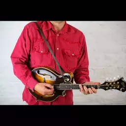 MS37 F mandolin brown 8.jpg