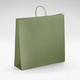 Natural-kraft-green-twist-handles-bag-Large.jpg