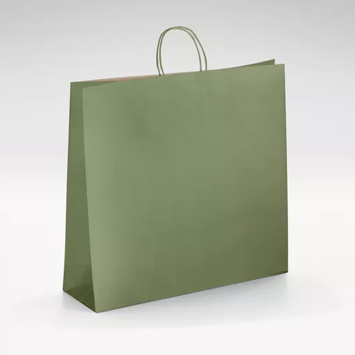 Natural-kraft-green-twist-handles-bag-Large.jpg