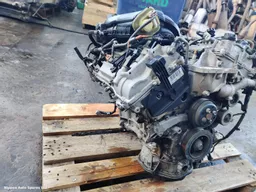 37813e02-a6e7-4d54-a7af-9b6452918e4b.jpeg?