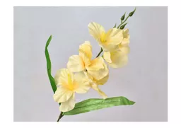 sword lily - cream-yellow x 3.jpg