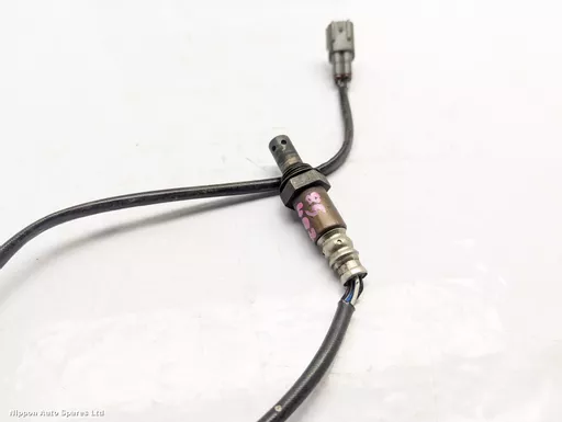 2030c9ca-7d09-40e8-a65b-b192e9ddeb20.jpeg?