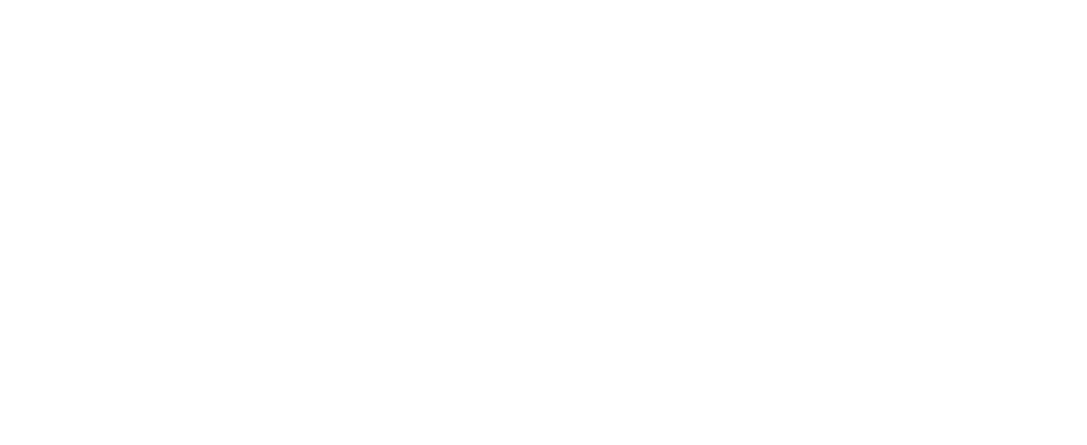 MyTechVerse Logo, White.png