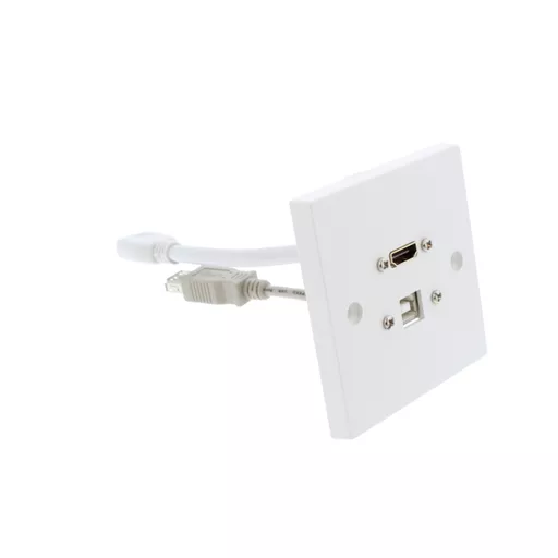 White Single Gang  HDMI & USB-B Wall Plate (Fly lead couplers)