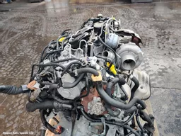 3b60afde-dfcf-4331-84f4-4ce93bfeab91.jpeg?