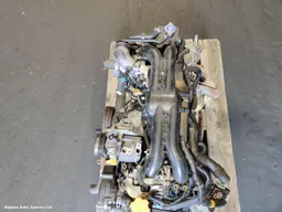 724e582e-ffa5-4146-b29f-cdc2fb58daef.jpeg?