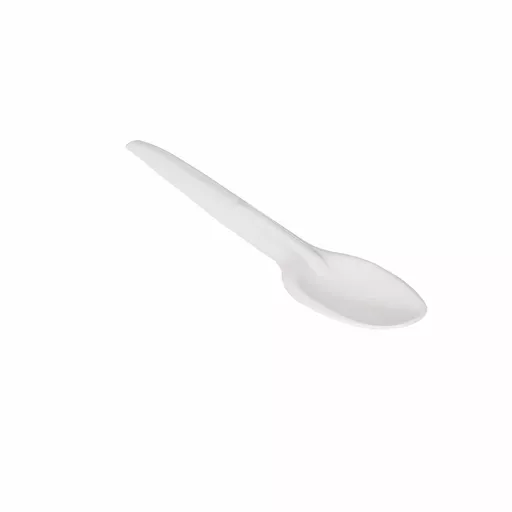 C01003.WebP