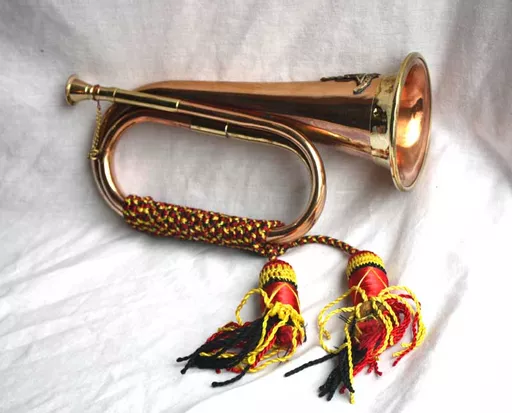 bh_474_bugle_800.jpg