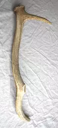 bh_257_pick650a.jpg