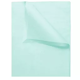 3601298 light blue mf tissue paper.jpg