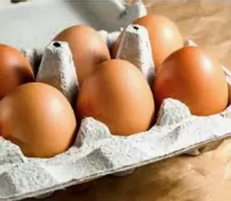 Half Doz Eggs.jpg