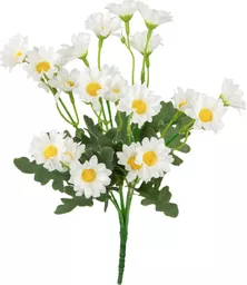 IT393822.jpg